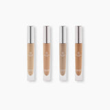High Performance Concealer