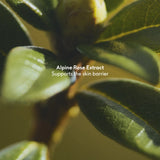 Ectoin Barrier Repair Moisturizer SPF 50