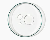 Antioxidant Facial Oil