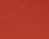 Balmy Gloss Tinted Lip Oil