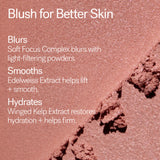 Soft Focus Blurring Blush