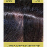 Aloe Vera Conditioner